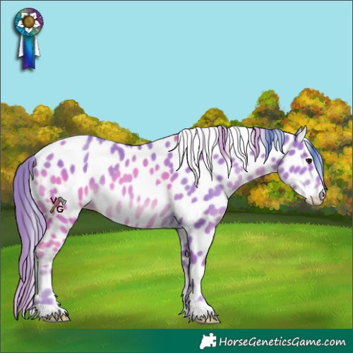 Horse Color:Watercolor Classic Champagne Appaloosa
