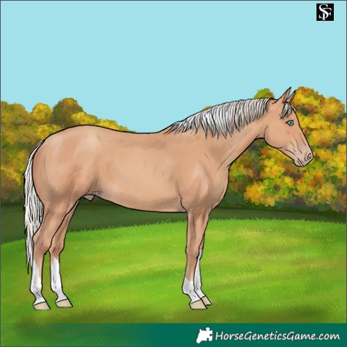Horse Color:Silver Amber Champagne Tobiano 