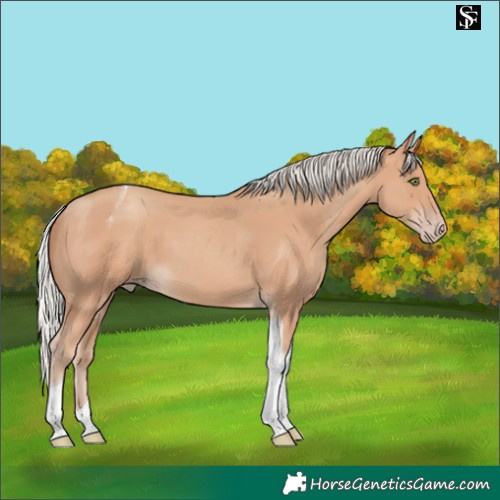 Horse Color:Silver Classic Champagne Tobiano 