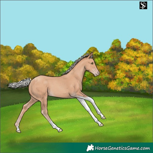 Horse Color:Silver Classic Champagne Tobiano