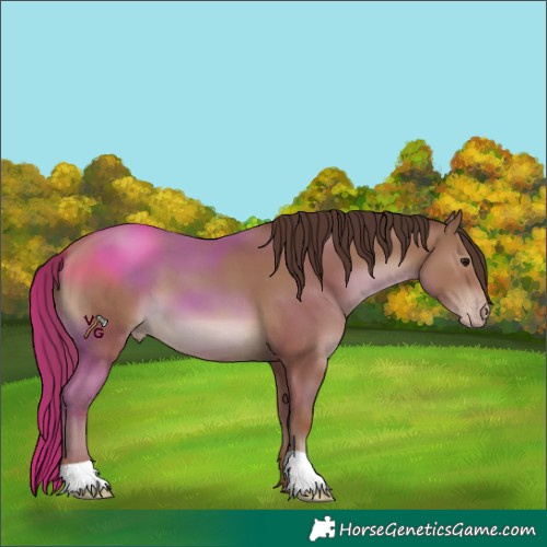 Horse Color:Classic Champagne
