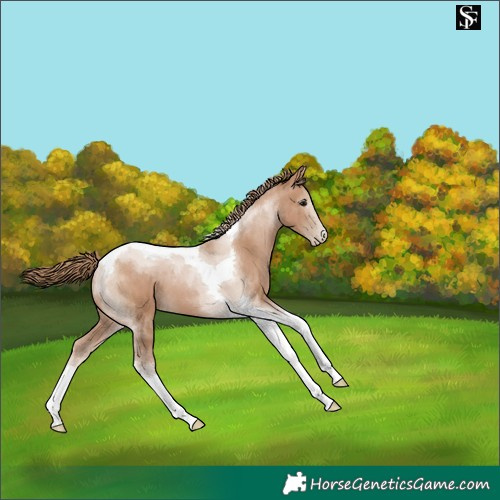 Horse Color:Black Pearl Tobiano 