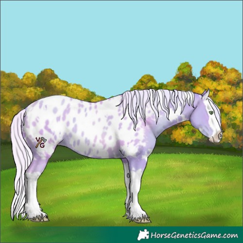 Horse Color:Watercolor White Spotted Silver Sable Champagne Splash Appaloosa 