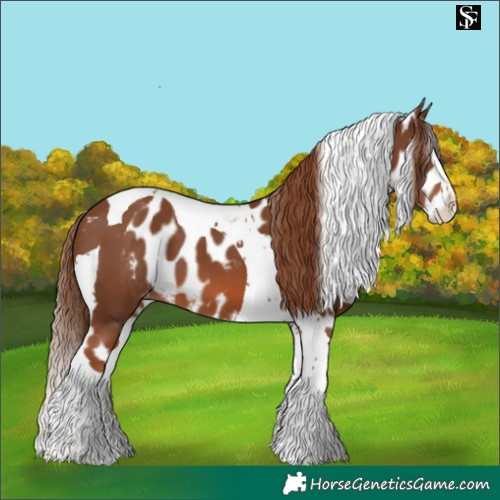 Horse Color:Chestnut Splash Tobiano Skewed LP Spotted 