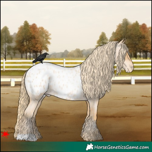 Horse Color:Red Roan Pearl Blanket