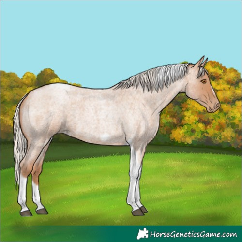 Horse Color:Silver Blue Roan Pearl Tobiano Frame
