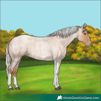 Horse Color:Silver Blue Roan Pearl Tobiano Frame 