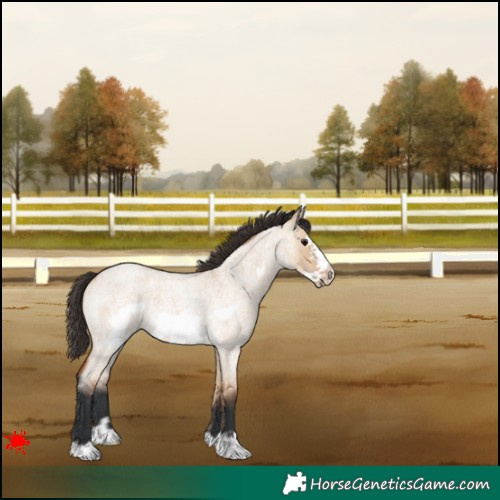 Horse Color:Bay Roan Dun Frame 