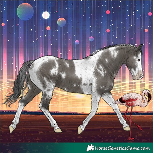Horse Color:White Spotted Grullo Splash Tobiano