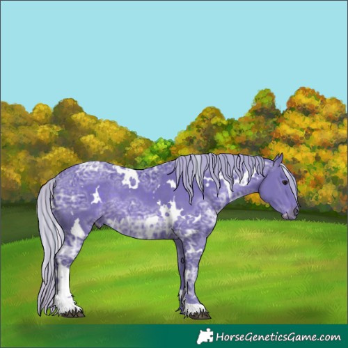 Horse Color:Painted Watercolor White Spotted Silver Brown Ice Rabicano