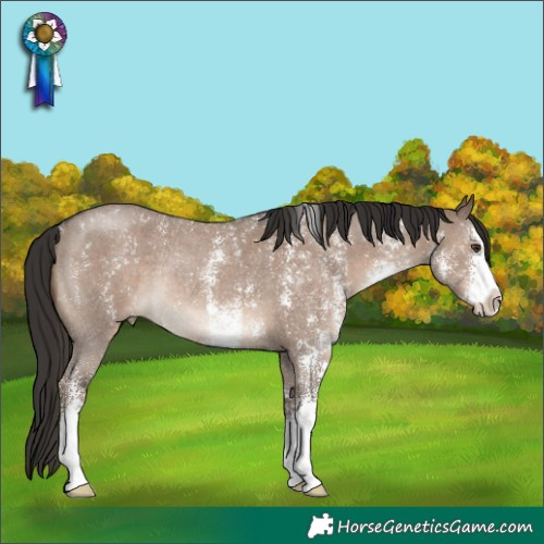 Horse Color:Liver Red Dun Sabino Rabicano