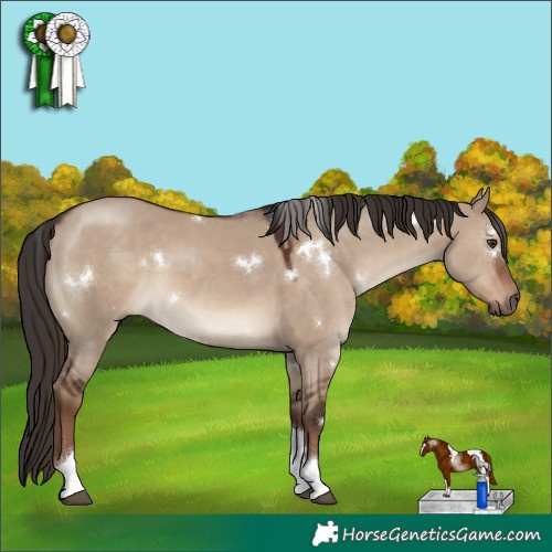 Horse Color:White Spotted Liver Red Dun Tobiano Rabicano