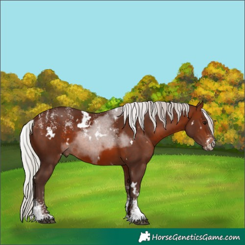 Horse Color:Powder White White Spotted Silver Brown 