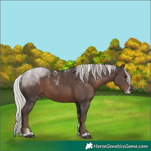 Horse Color:Powder White Silver Black 