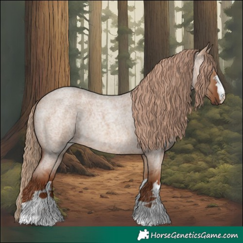 Horse Color:Red Dun Roan 