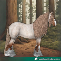 Horse Color:Red Dun Roan 