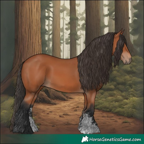 Horse Color:Bay Sabino 
