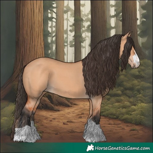 Horse Color:Bay Dun 