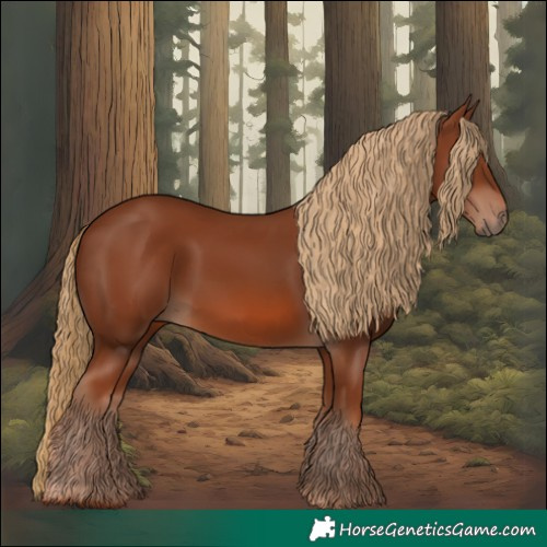 Horse Color:Chestnut 