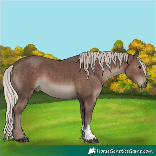 Horse Color:Silver Black Sabino