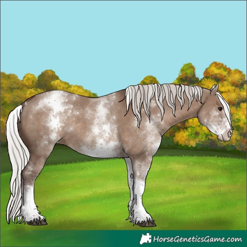 Horse Color:White Spotted Silver Grullo Tobiano Rabicano 