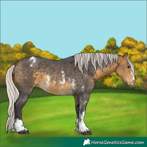Horse Color:Silver Buckskin Sabino Varnish 