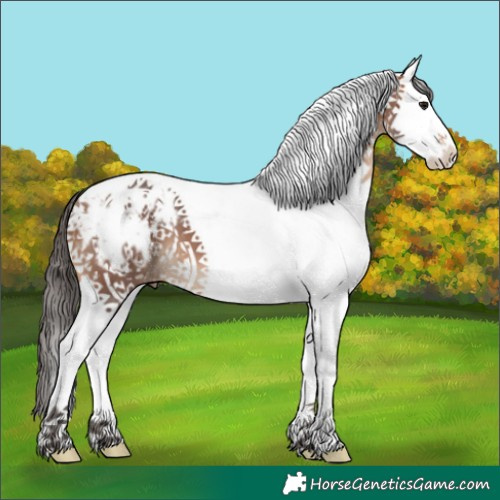 Horse Color:White Spotted Bay Merle Tobiano Blanket 