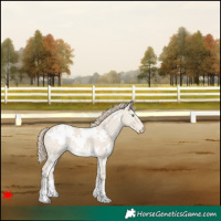 Horse Color:White Spotted Smoky Creme Dun 