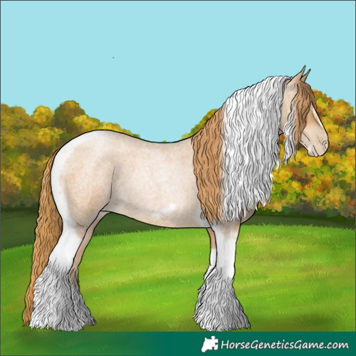 Horse Color:Red Roan Pearl Tobiano Frame