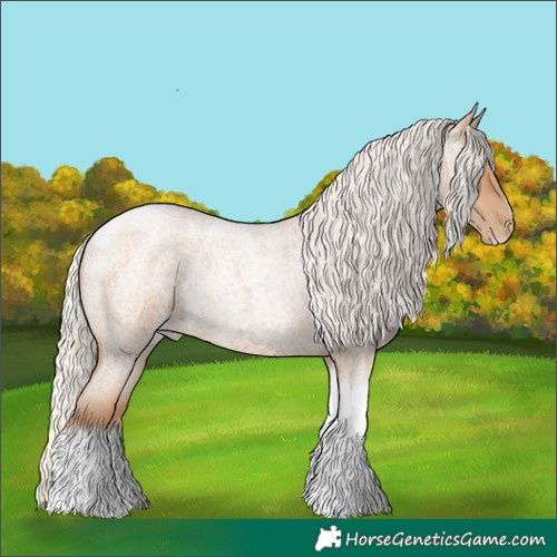 Horse Color:Silver Blue Roan Pearl Tobiano Frame