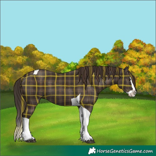 Horse Color:Plaid Liver Chestnut Splash Tobiano