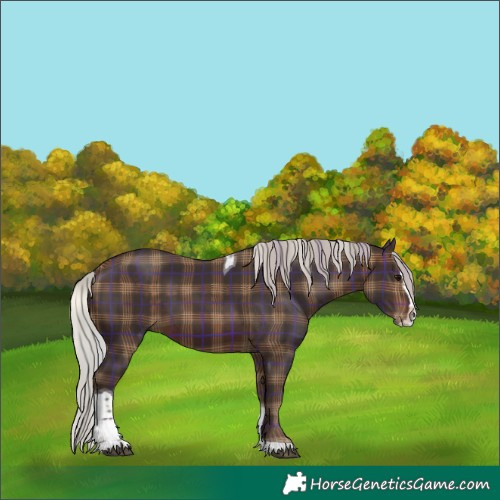 Horse Color:Plaid  Silver Brown Splash Tobiano 