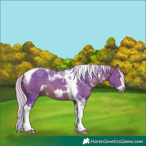 Horse Color:Watercolor White Spotted Silver Brown Splash Tobiano Frame 