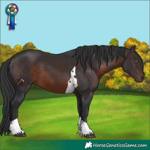 Horse Color:Brown Tobiano