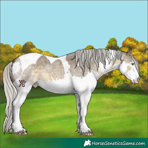 Horse Color:Silver Buckskin Roan Dun Splash Tobiano