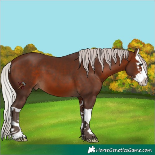 Horse Color:Silver Bay Splash 