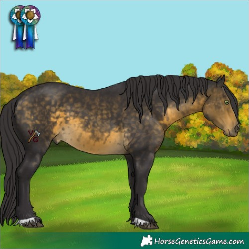 Horse Color:Buckskin