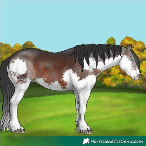 Horse Color:Brown Splash 