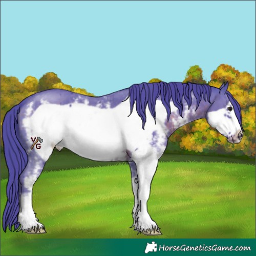 Horse Color:Watercolor Brown Sabino Frame