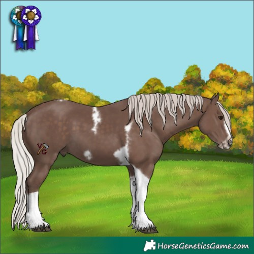 Horse Color:Silver Black Tobiano Frame