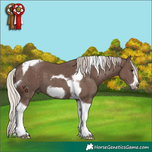 Horse Color:Silver Black Tobiano Frame 