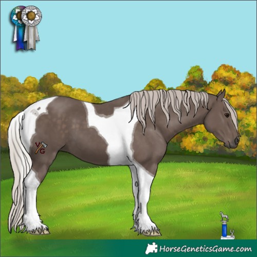 Horse Color:Silver Black Tobiano 