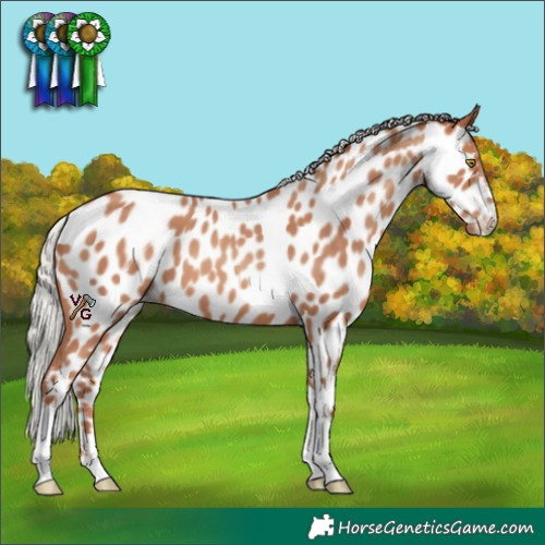 Horse Color:Silver Sable Champagne Tobiano Appaloosa