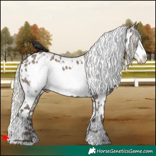 Horse Color:White Spotted Silver Grullo Frame Near Leopard 