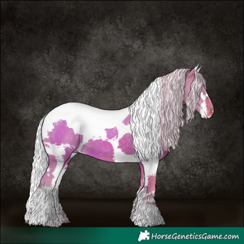 Horse Color:Watercolor Silver Buckskin Dun Harlequin Merle Tobiano Skewed LP Spotted