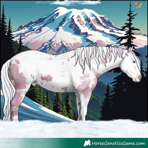 Horse Color:Watercolor Silver Brown Harlequin Merle Skewed Appaloosa