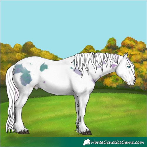 Horse Color:Watercolor Silver Brown Harlequin Merle Tobiano Skewed Appaloosa 