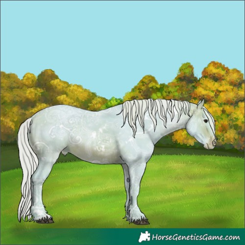 Horse Color:Watercolor White Spotted Silver Brown Ice Skewed LP Spotted Rabicano