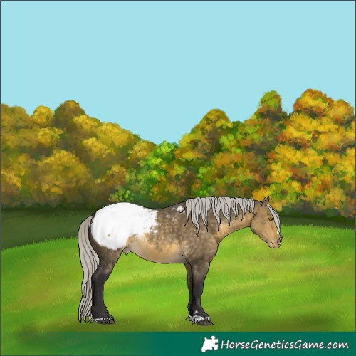 Horse Color:Silver Buckskin Dun Snowcap 
