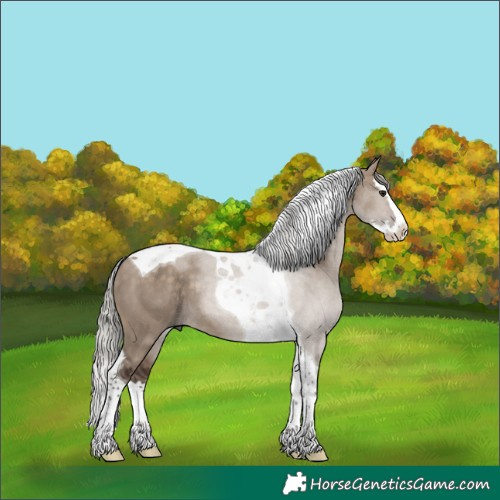 Horse Color:Silver Brown Dun Splash Tobiano 